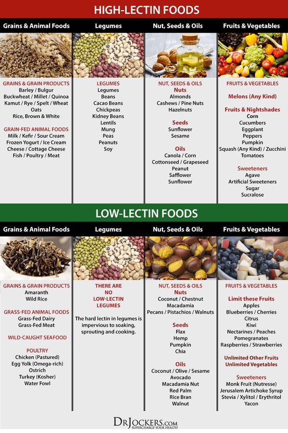 Why You Should Avoid Lectins in Your Diet! - DrJockers.com
