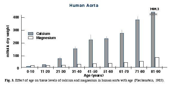 age vs. aortatissue levels of calcium and magnesium