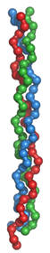 collagen molecule