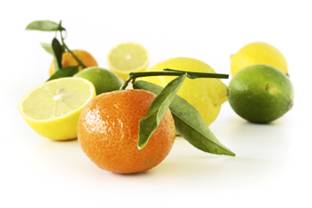 oranges,  lemons and limes