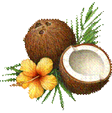 coconuts and flower
