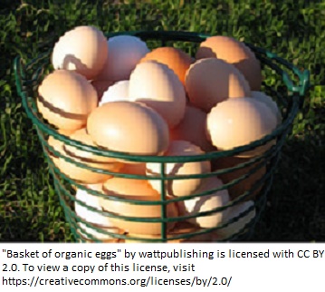 brown eggs in a basket