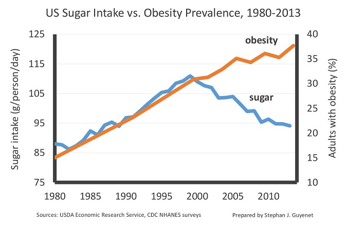 US sugar intake vs. obesity prevalence