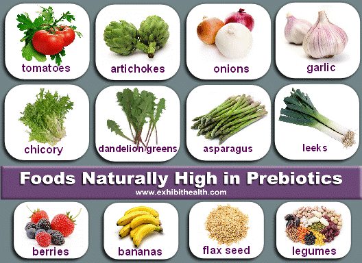 prebiotic foods