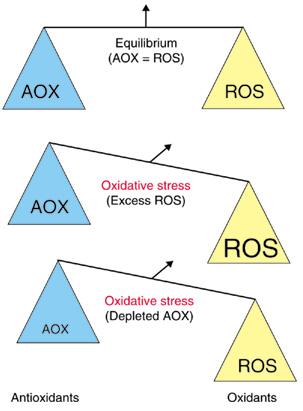 AOX balanced with ROS