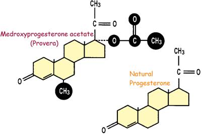 provera - synthetic progesterone